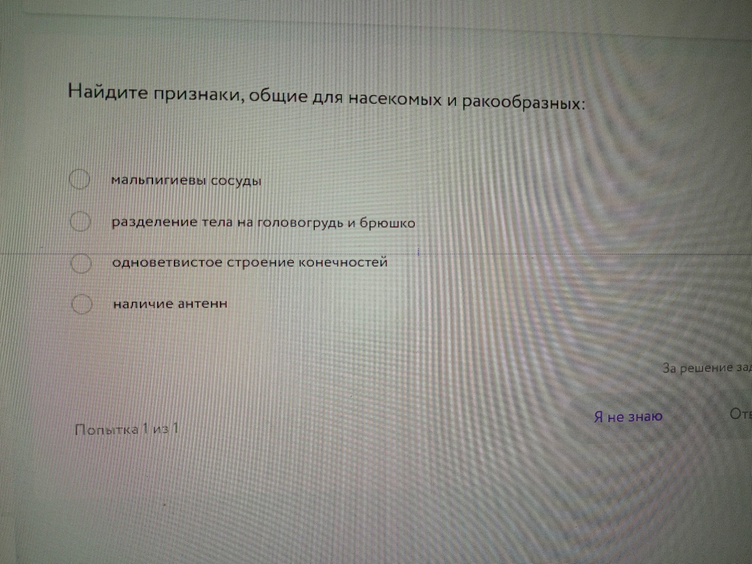 Изображение задачи: