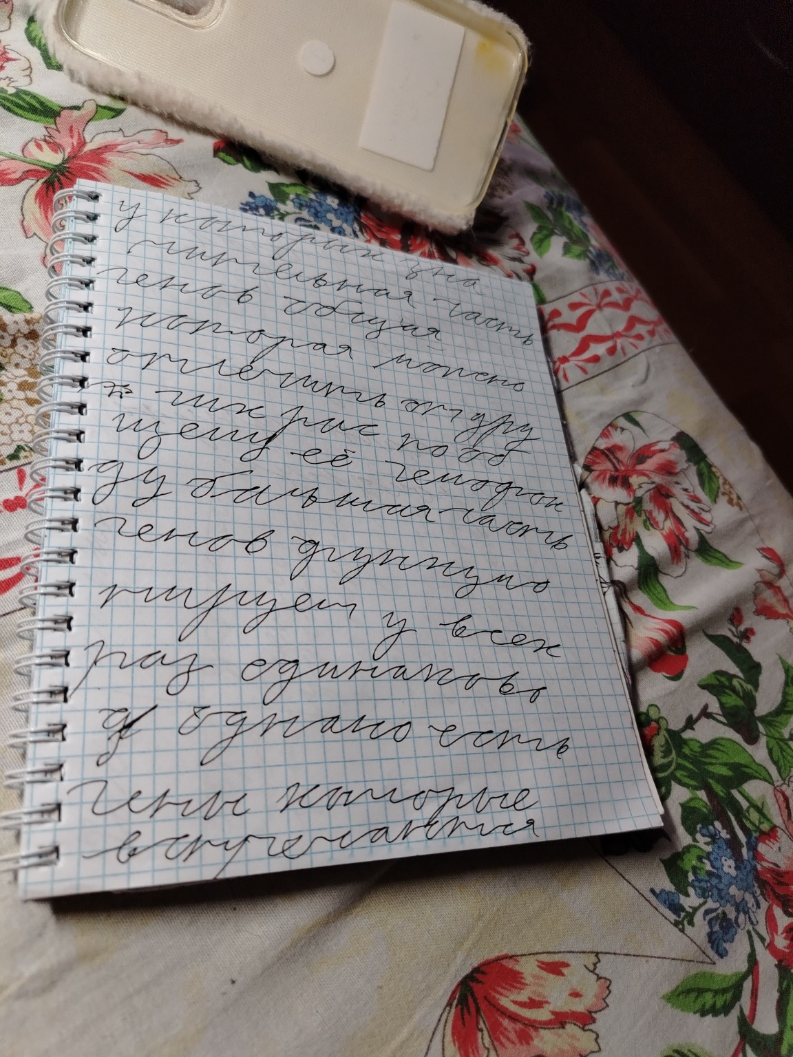 Изображение задачи: Напиши текст  Напиши текст  Напиши текст