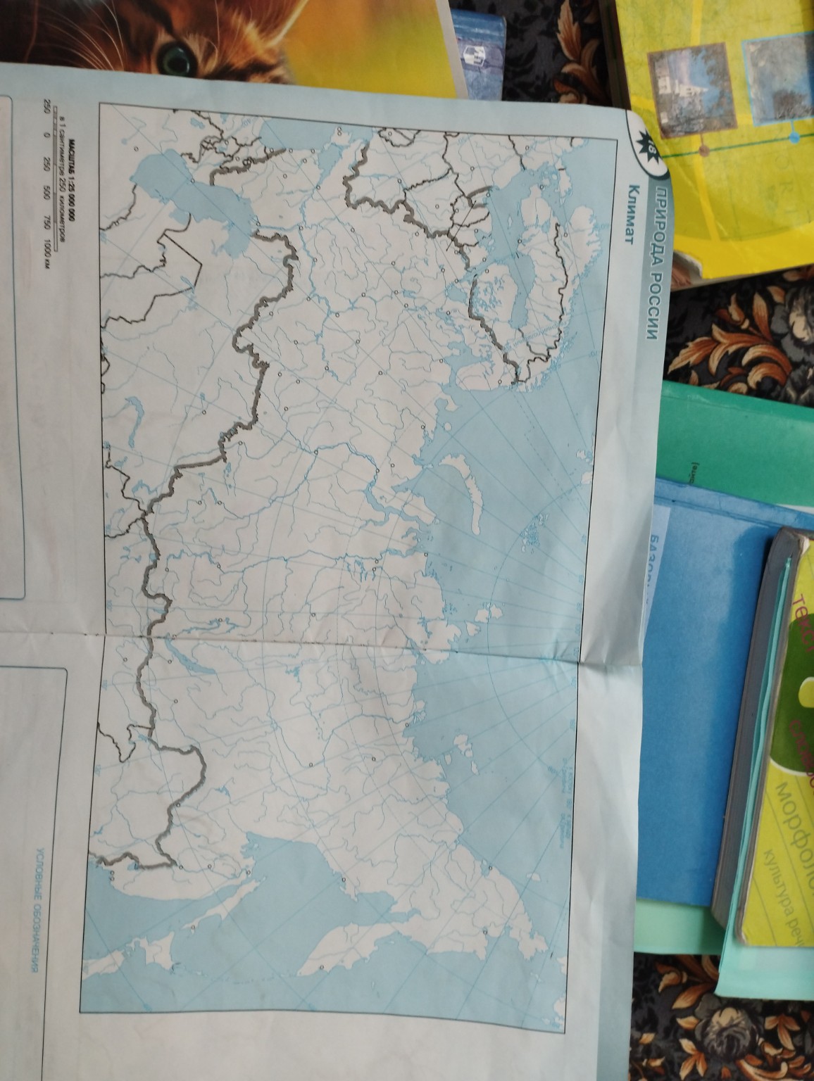 Изображение задачи: Нанести все климатические пояса и области России