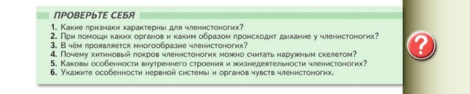 Изображение задачи: ? 5 плаг