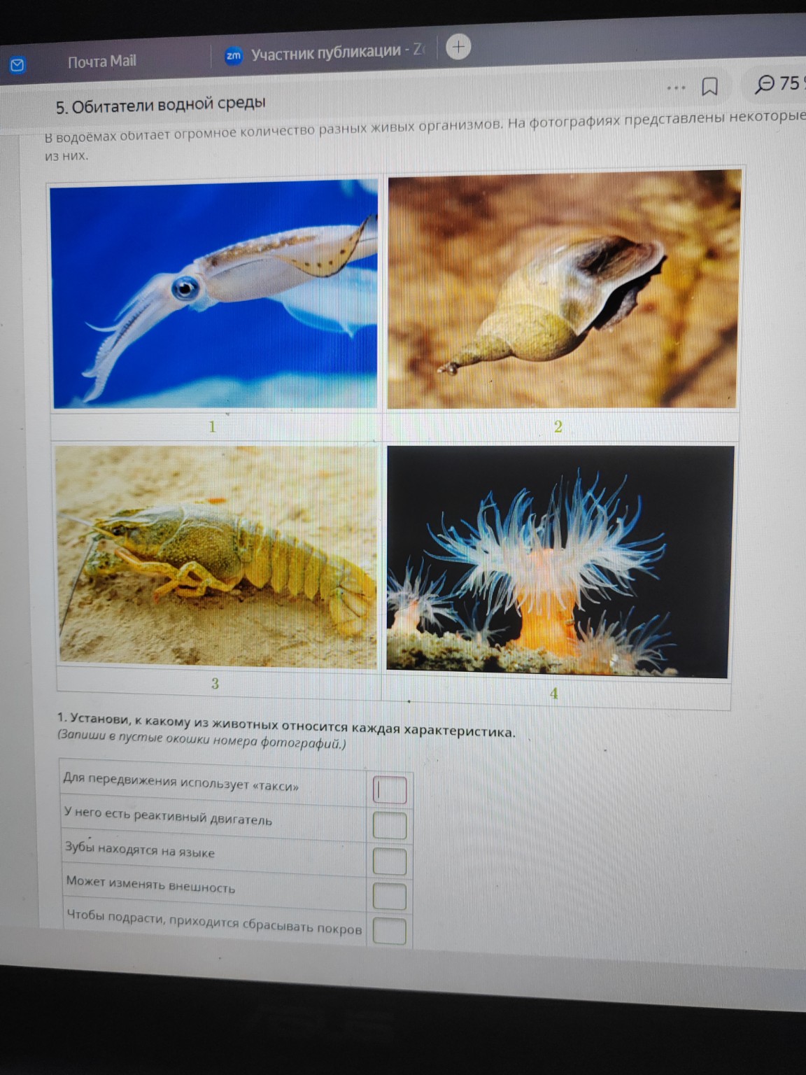 Изображение задачи: 