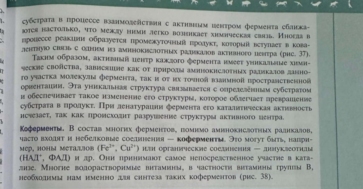 Изображение задачи: Сделай конспект по эти фотографиям