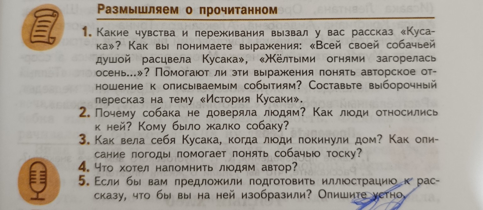 Изображение задачи: Ответь на вопросы