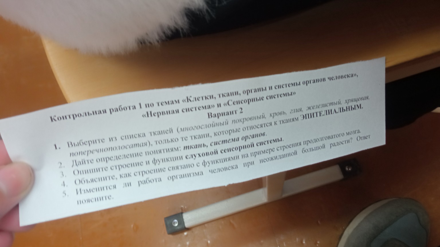 Изображение задачи: Реши все задачи