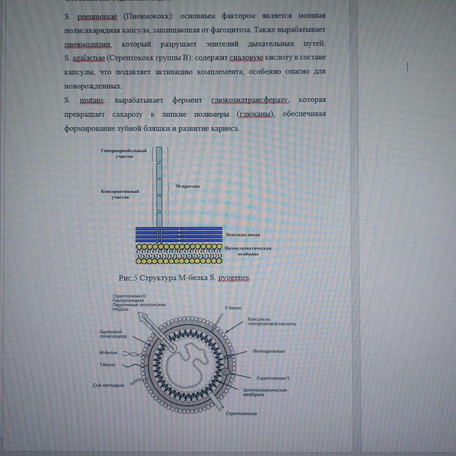 Изображение задачи: Как подписать нижни1 рисунок на подобии как рисуно