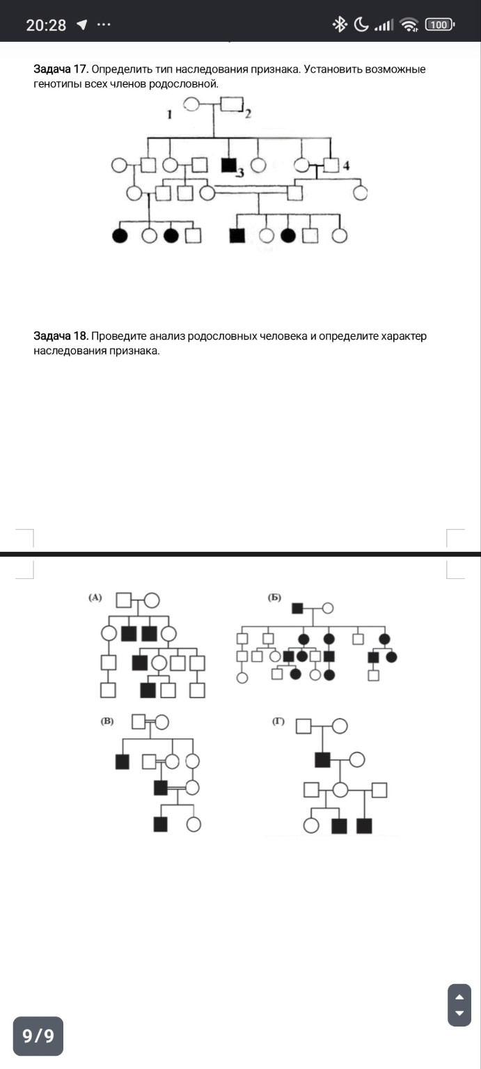 Изображение задачи: Решити задачи по генетике, образцы решения уже дан