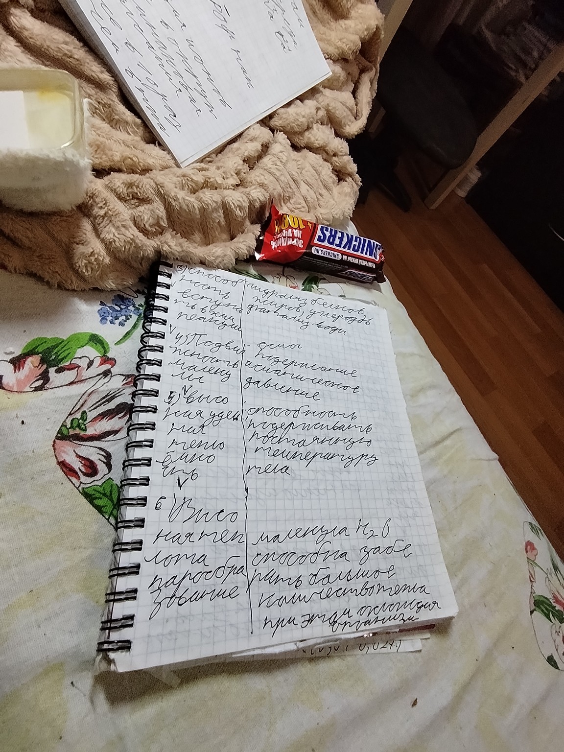 Изображение задачи: Напиши текст Напиши текст