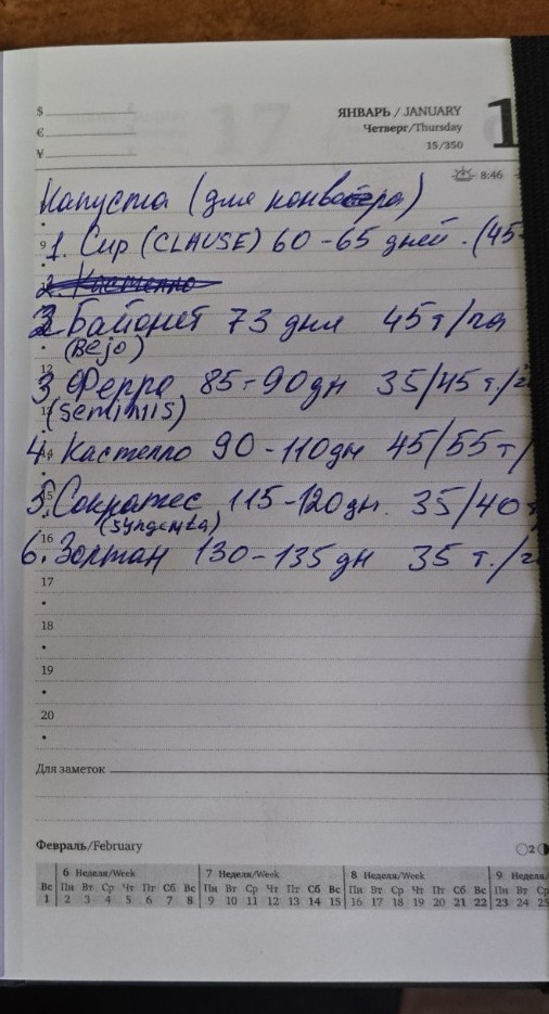 Изображение задачи: Подойдут ли данные сорта капусты для выращивания в