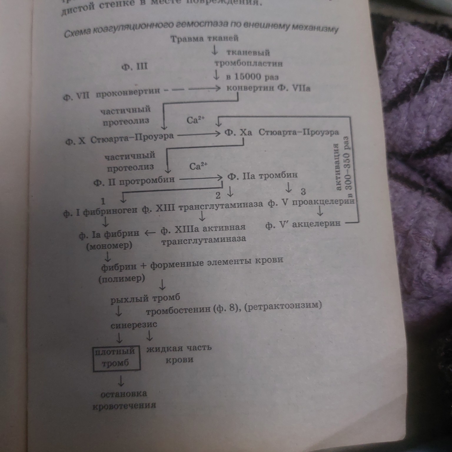Изображение задачи: Обьяснить эту теперь схему так же подробно и сплош