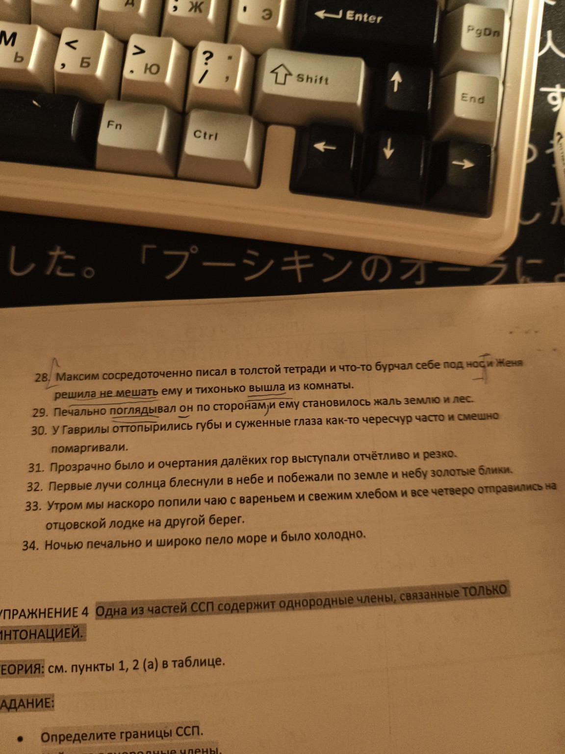 Изображение задачи: определите границы ССП, найдите однородные члены, 