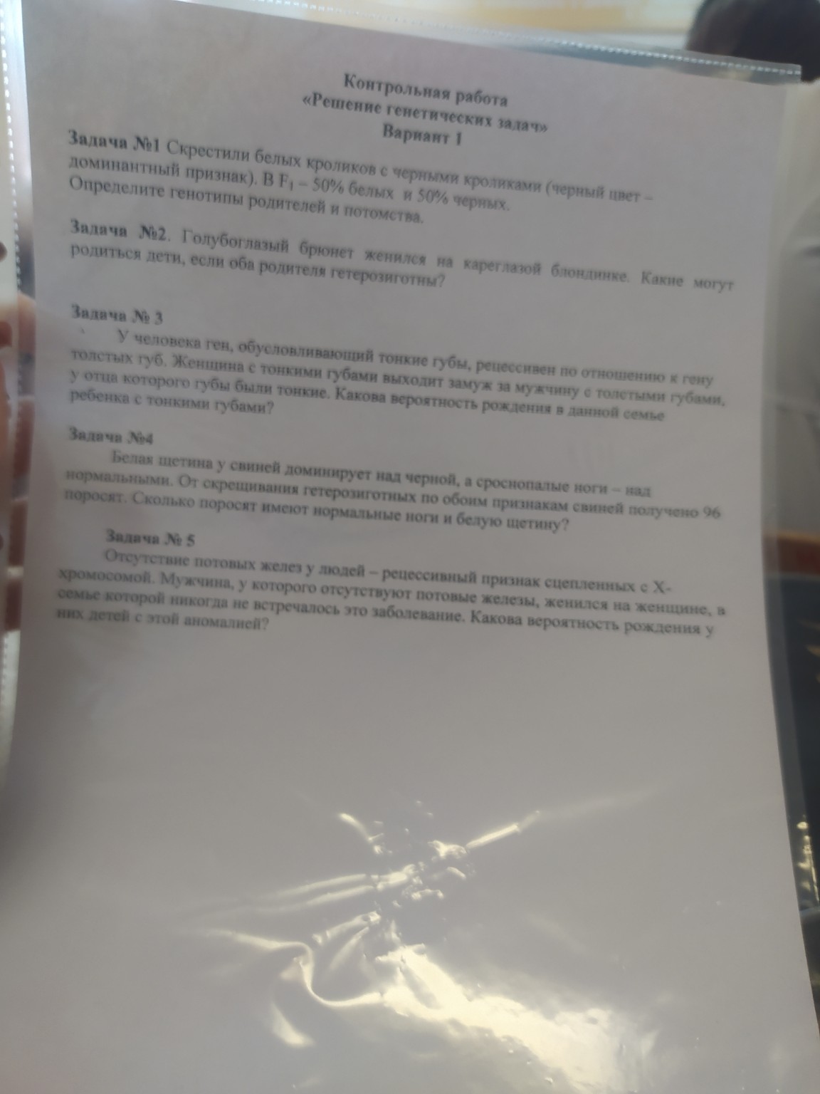 Изображение задачи: 