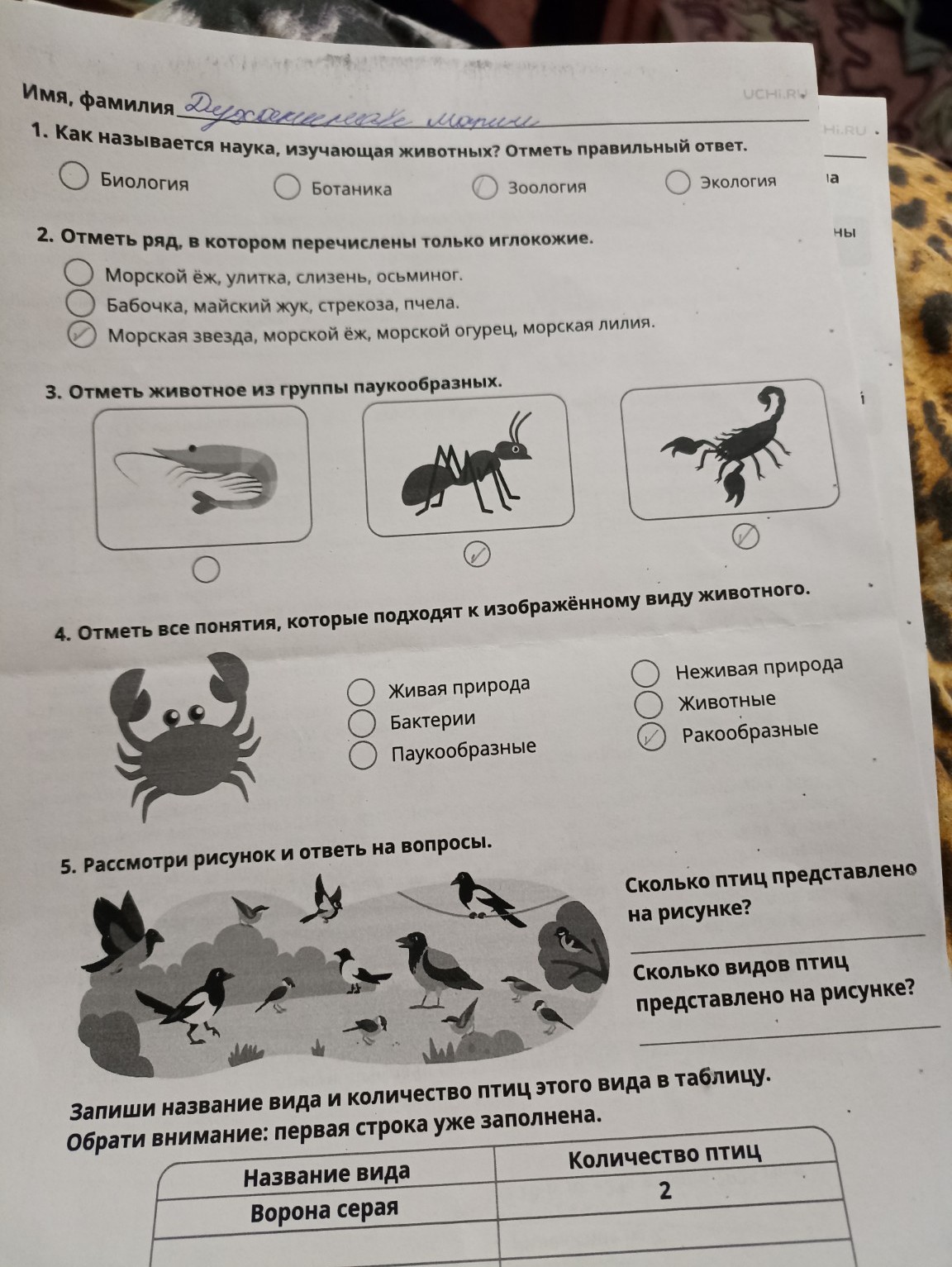 Изображение задачи: 