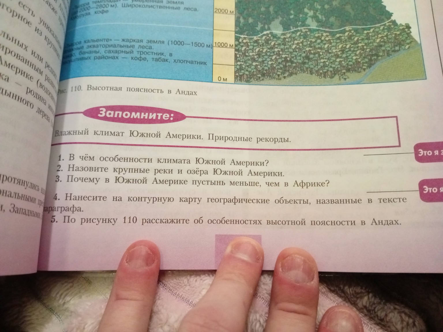 Изображение задачи: Ответить на все правильно , не сильно кратко но и 