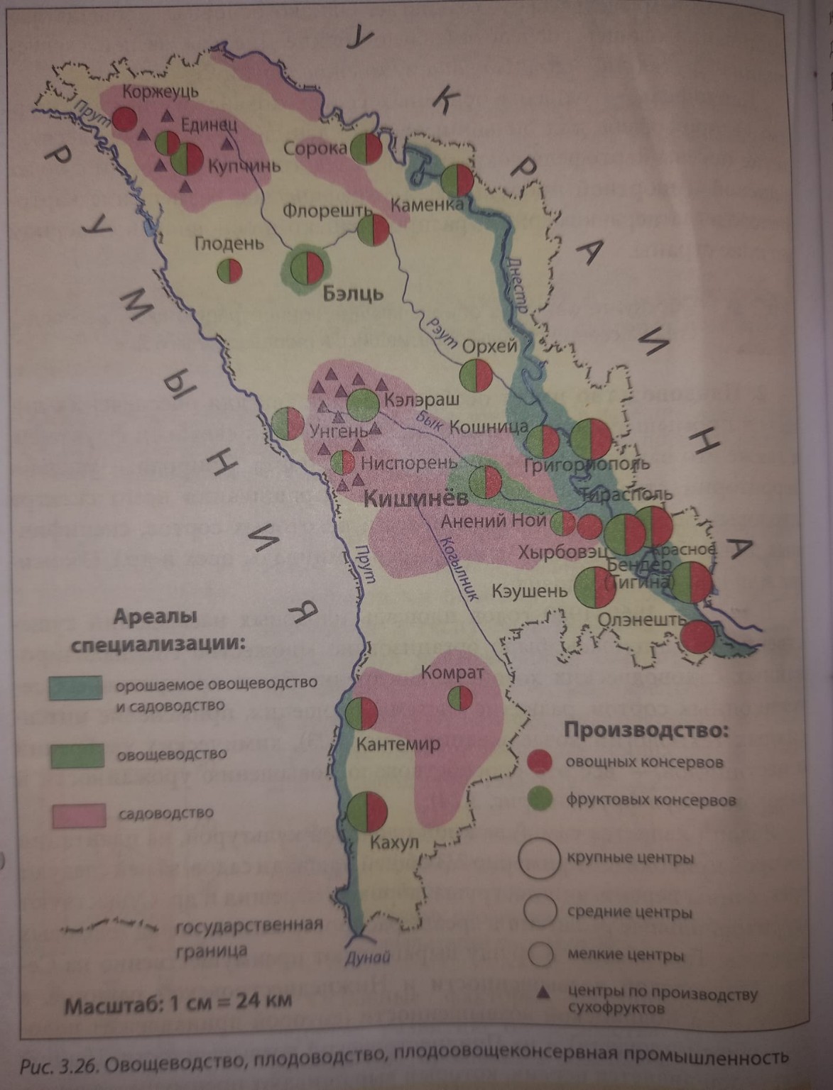 Изображение задачи: Тема: ОВОЩЕВОДСТВО, ПЛОДОВОДСТВО И ПЛОДООВОЩЕКОНСЕ