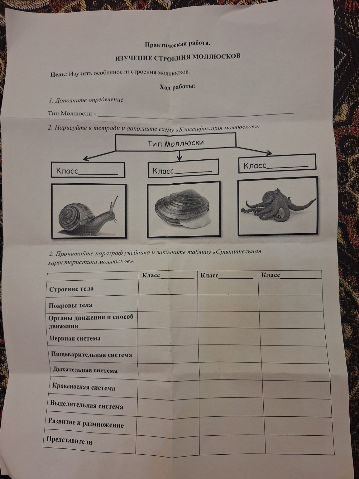 Изображение задачи: Выполни задание