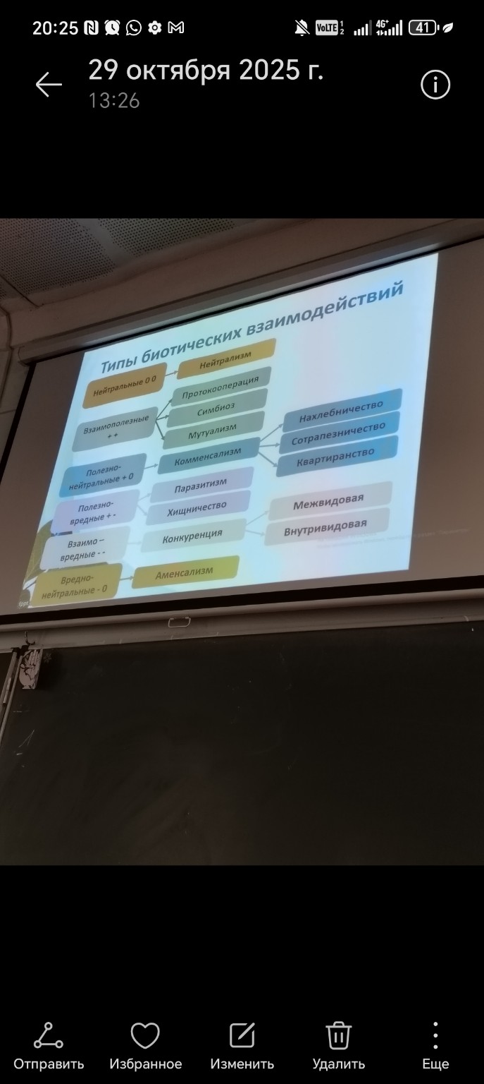 Изображение задачи: Напиши текст