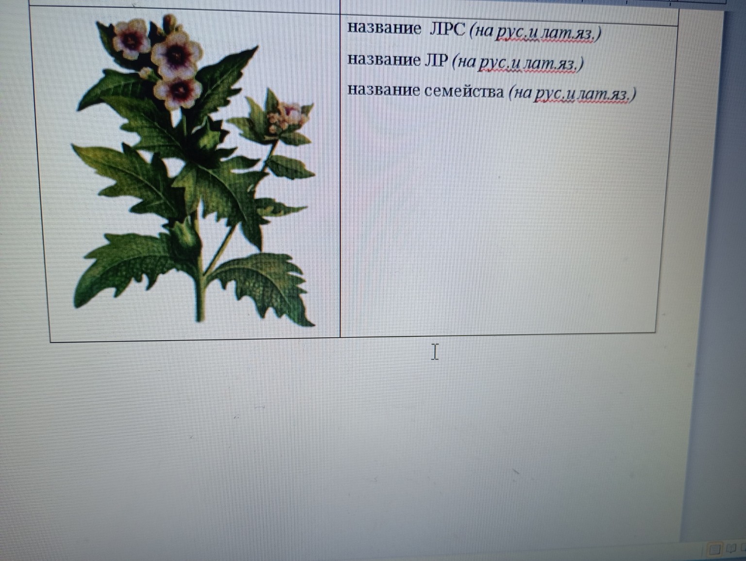 Изображение задачи: 