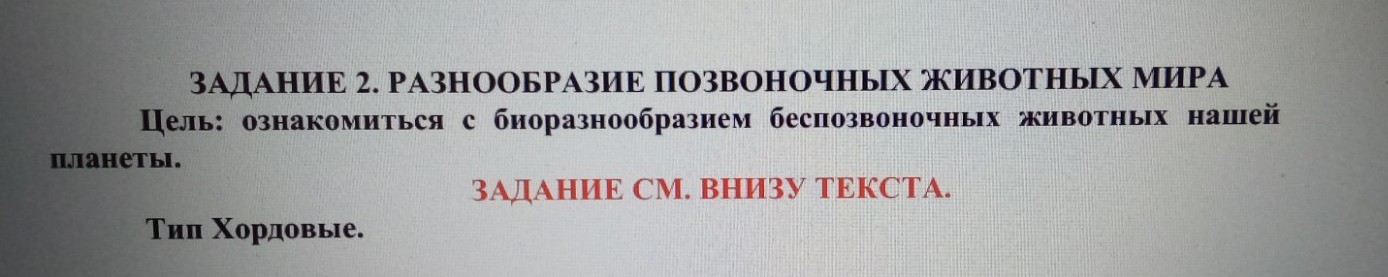 Изображение задачи: Заполнить таблицу