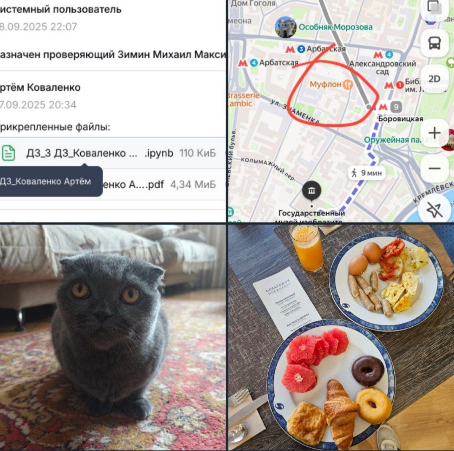 Изображение задачи: Придумай в чем связаны эти фото, в качестве шутки,