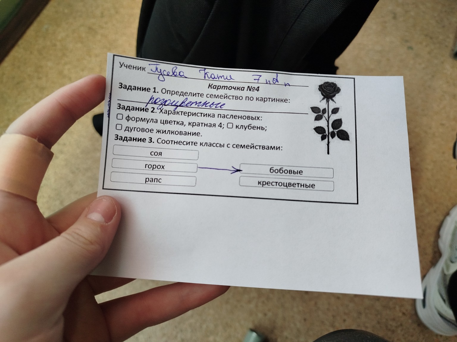 Изображение задачи: 