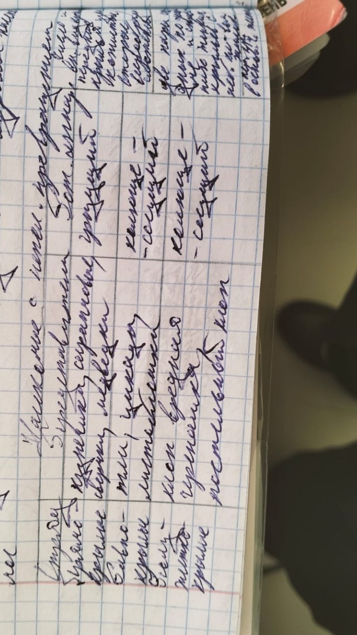 Изображение задачи: Проверить таблицу