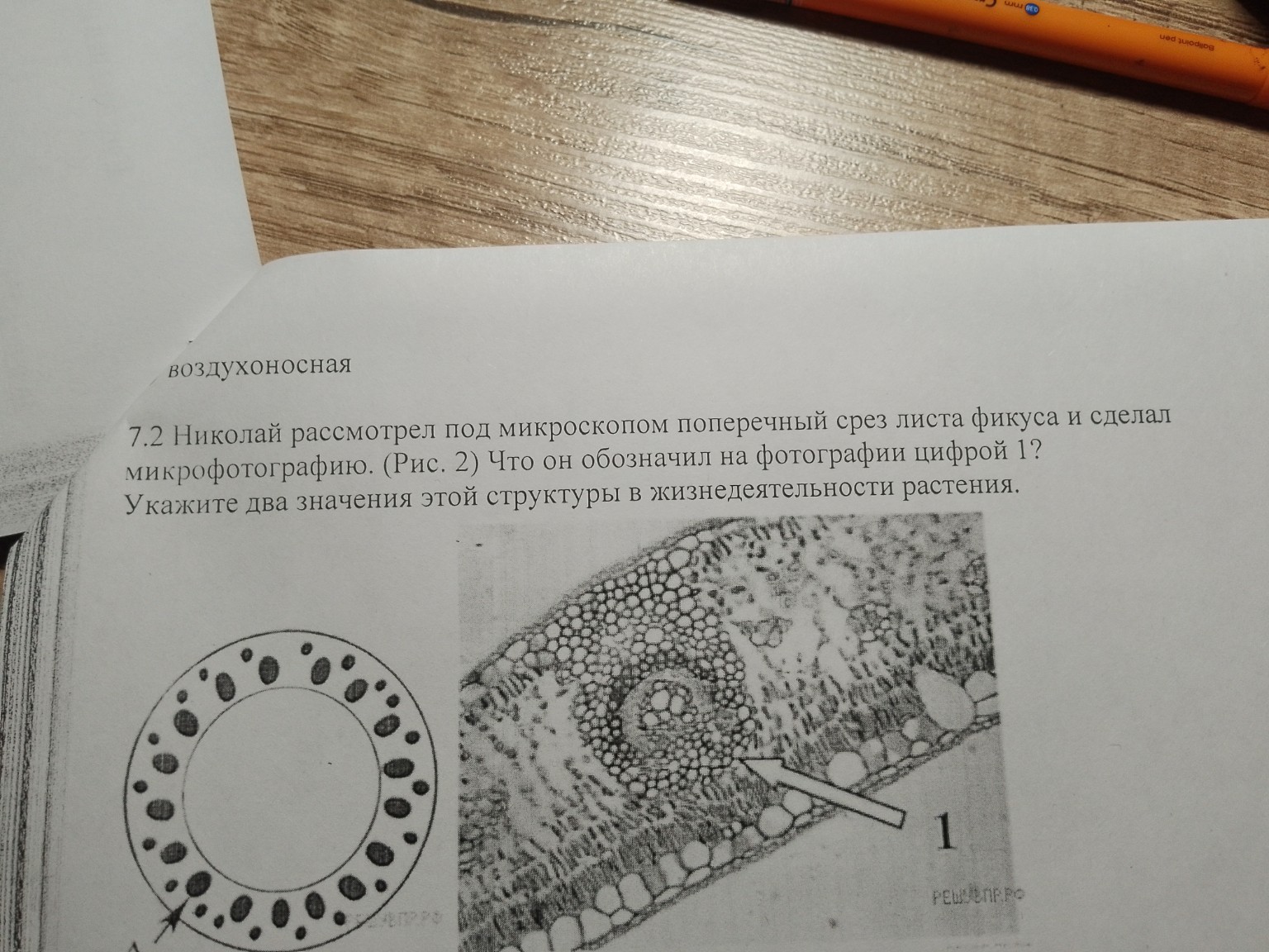 Изображение задачи: 