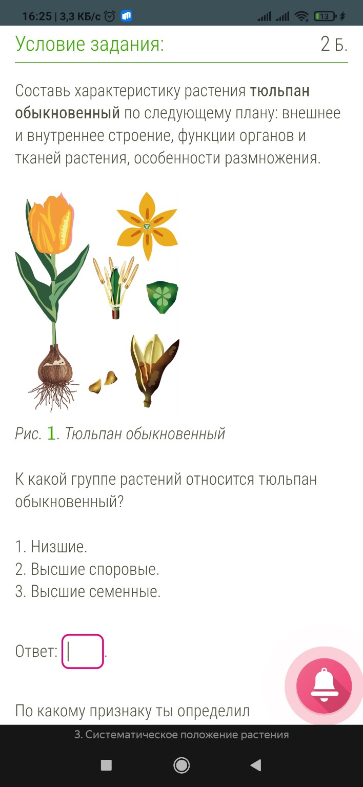 Изображение задачи: