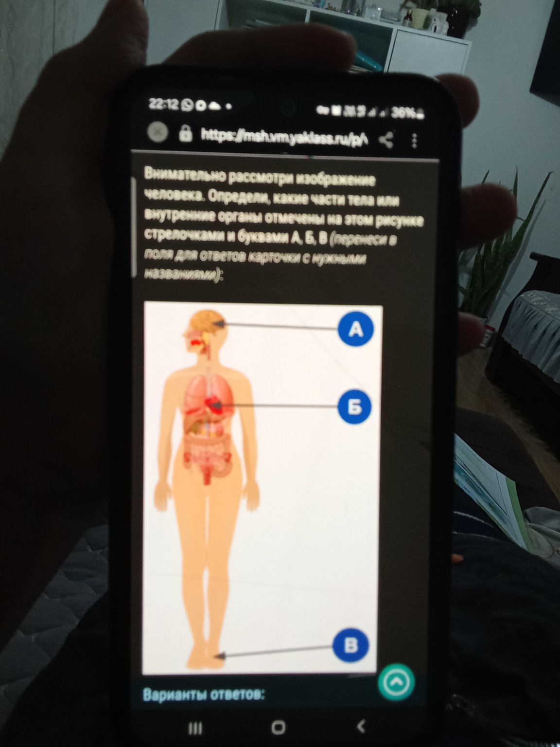 Изображение задачи: 