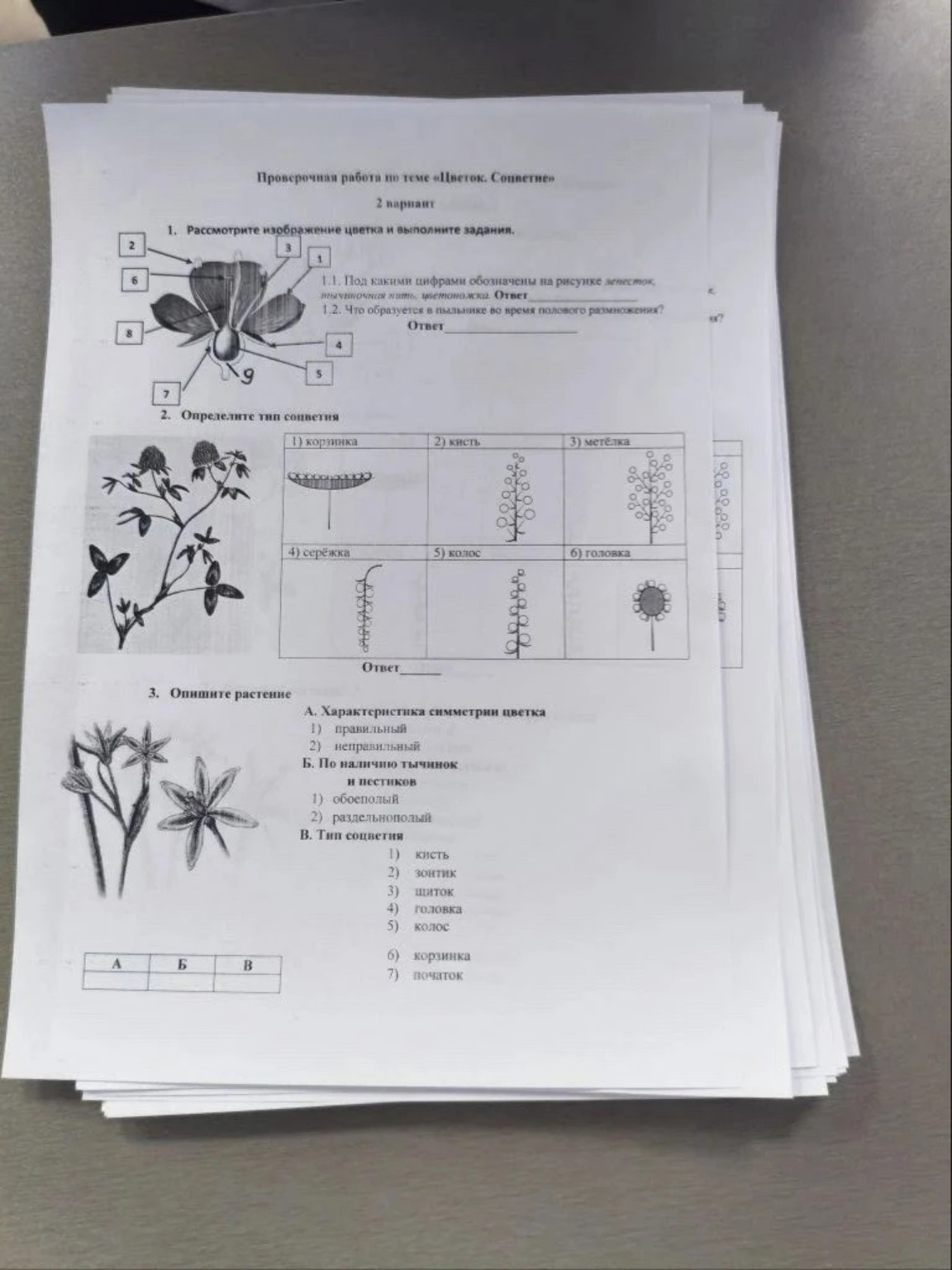 Изображение задачи: