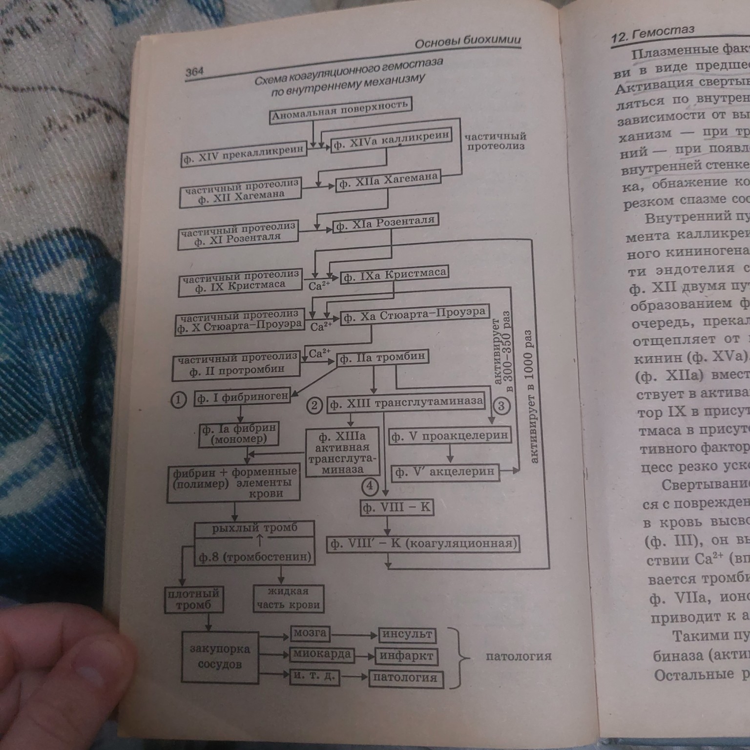 Изображение задачи: Что значит фактор 8к тут