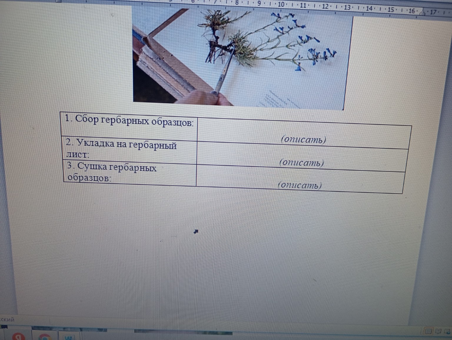 Изображение задачи: 