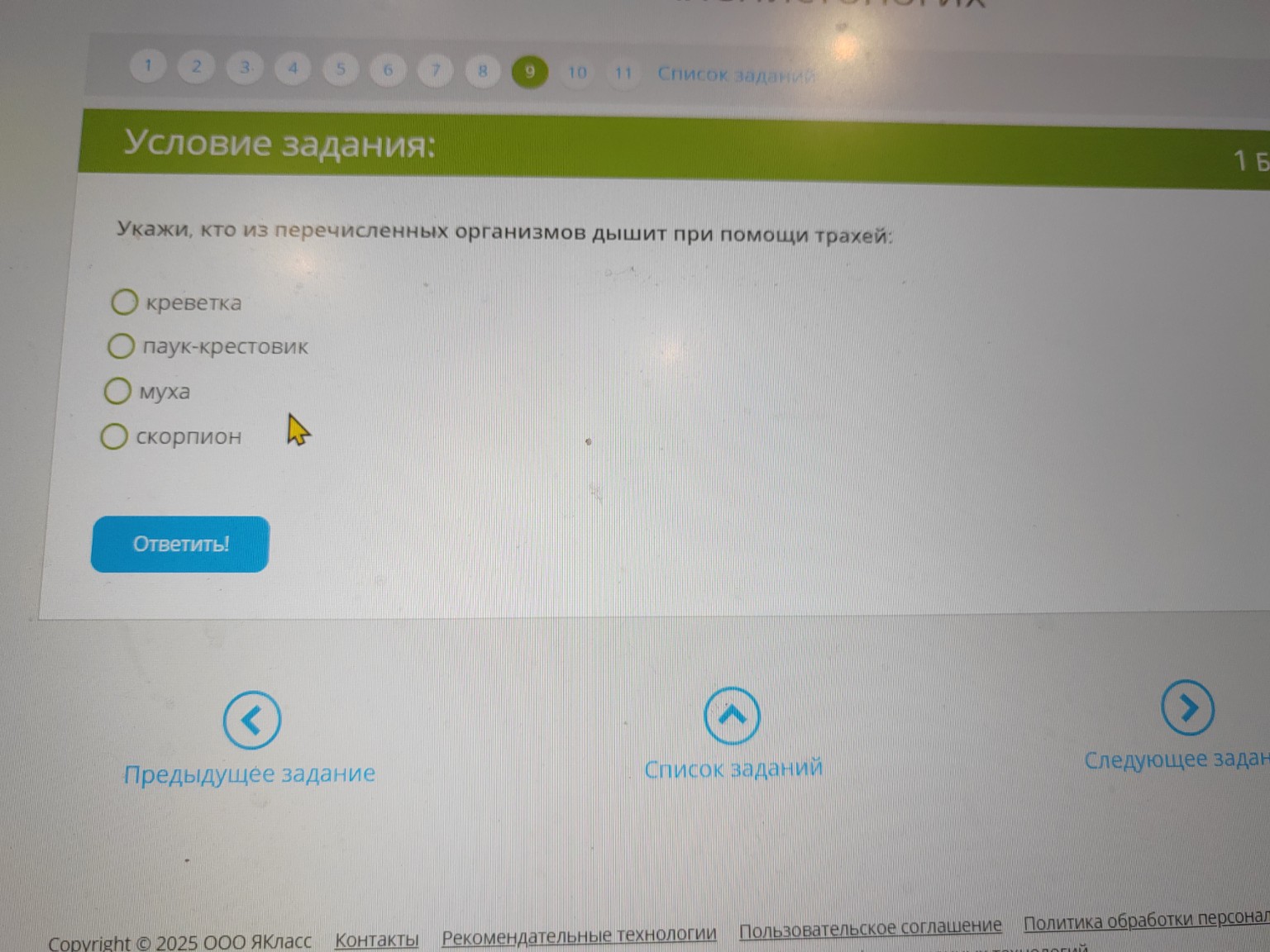 Изображение задачи: