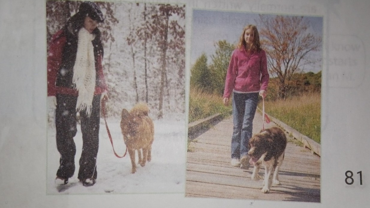 Изображение задачи: опиши лёгкими словами на английском различие и схо