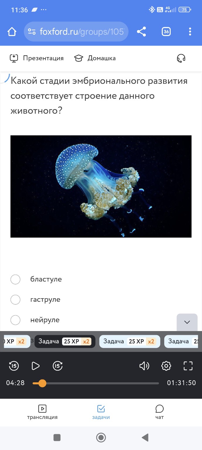 Изображение задачи: Реши задачу: Выбрать правильный цикл развития Реши