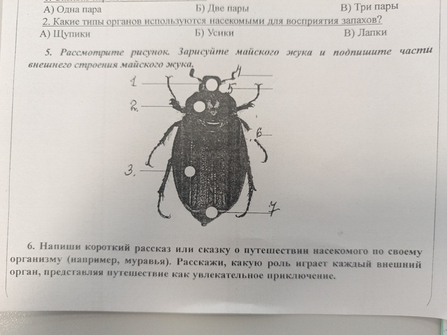 Изображение задачи: Выполни 5 задание