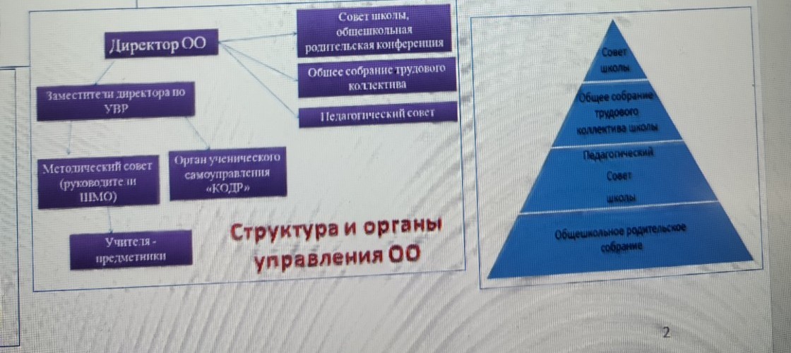 Изображение задачи: Реши задачу: 1. Критически проанализируйте организ