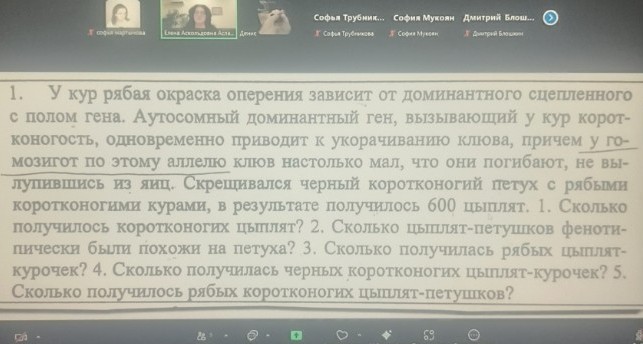 Изображение задачи: реши с решетками пинета