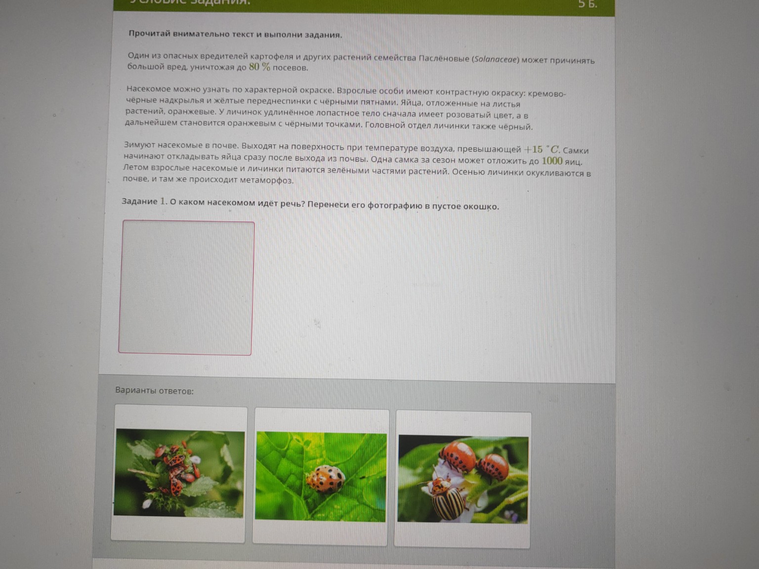 Изображение задачи: 