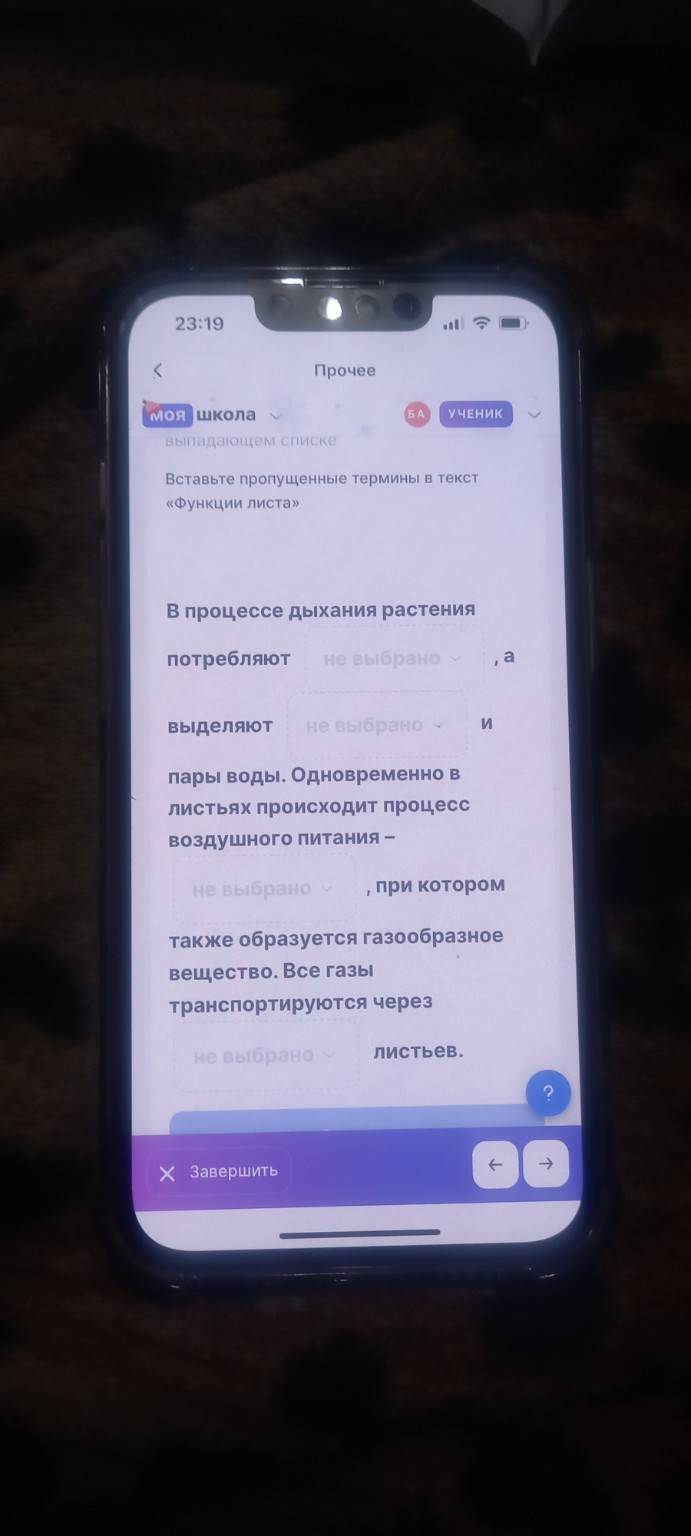Изображение задачи: Реши задачу: Вставить пропущенные слова