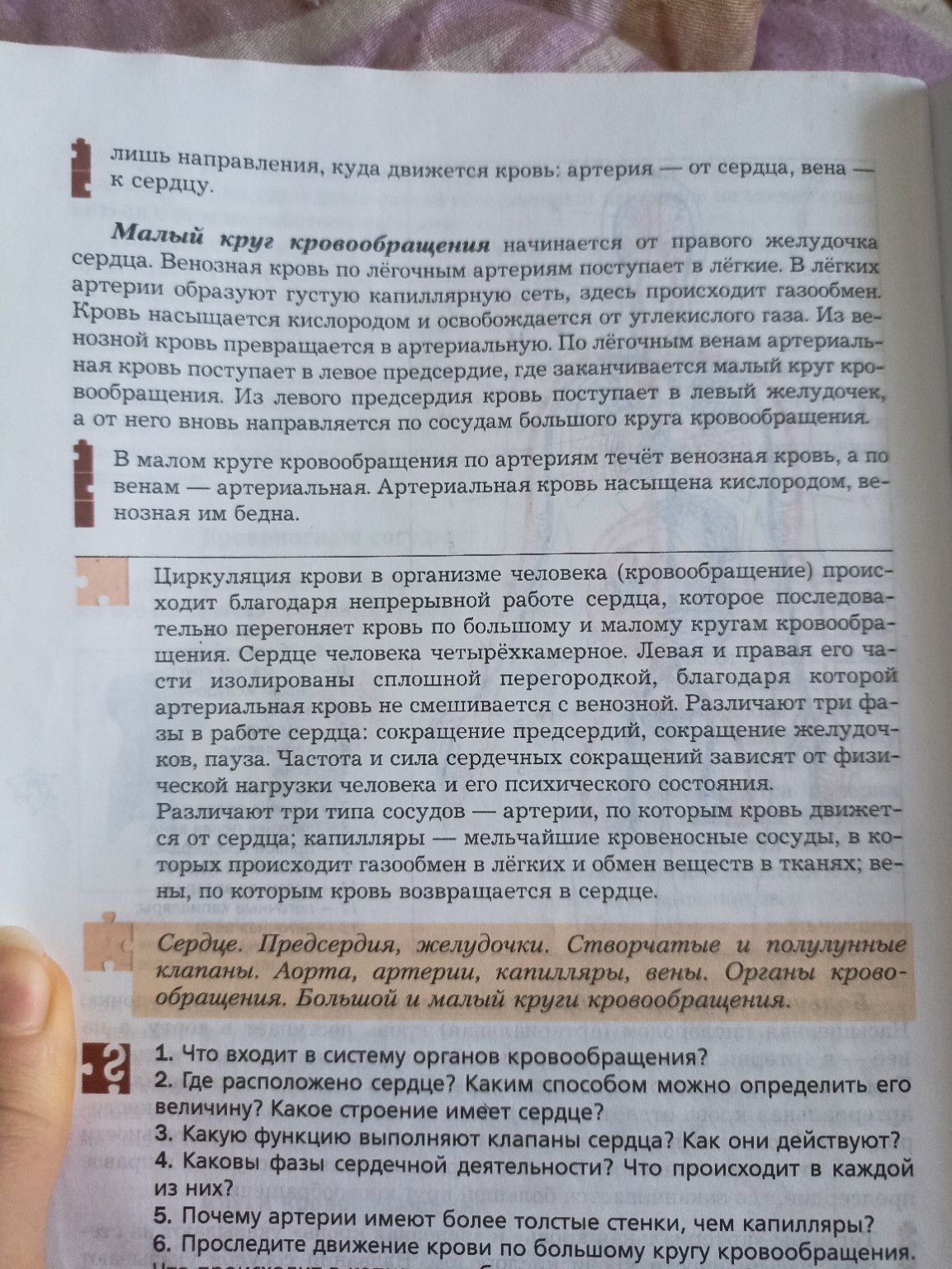 Изображение задачи: Реши задачу: Составь пересказ краткий по данному п