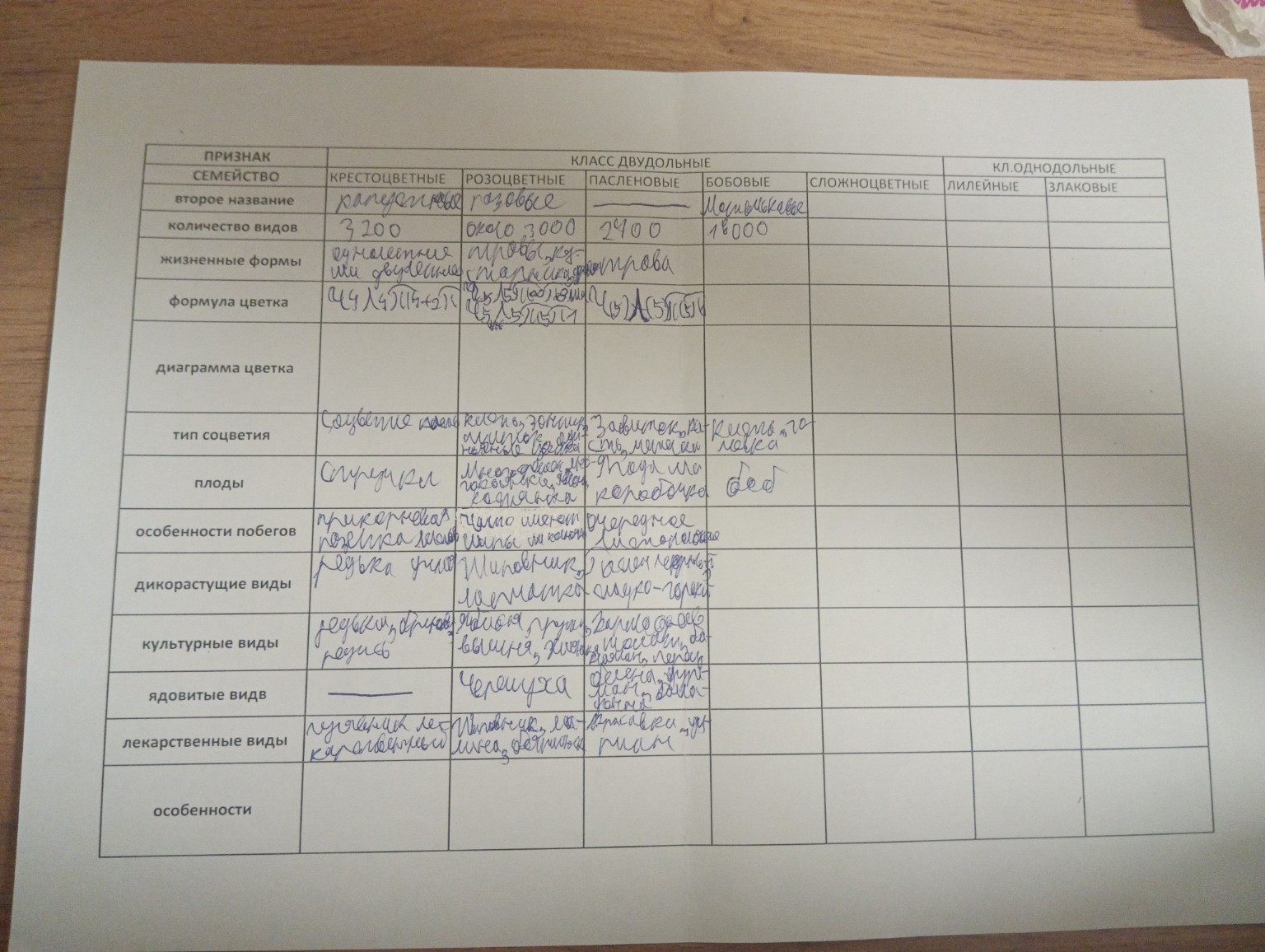 Изображение задачи: Заполни всё кроме пасленовые, розоцветные, крестоц