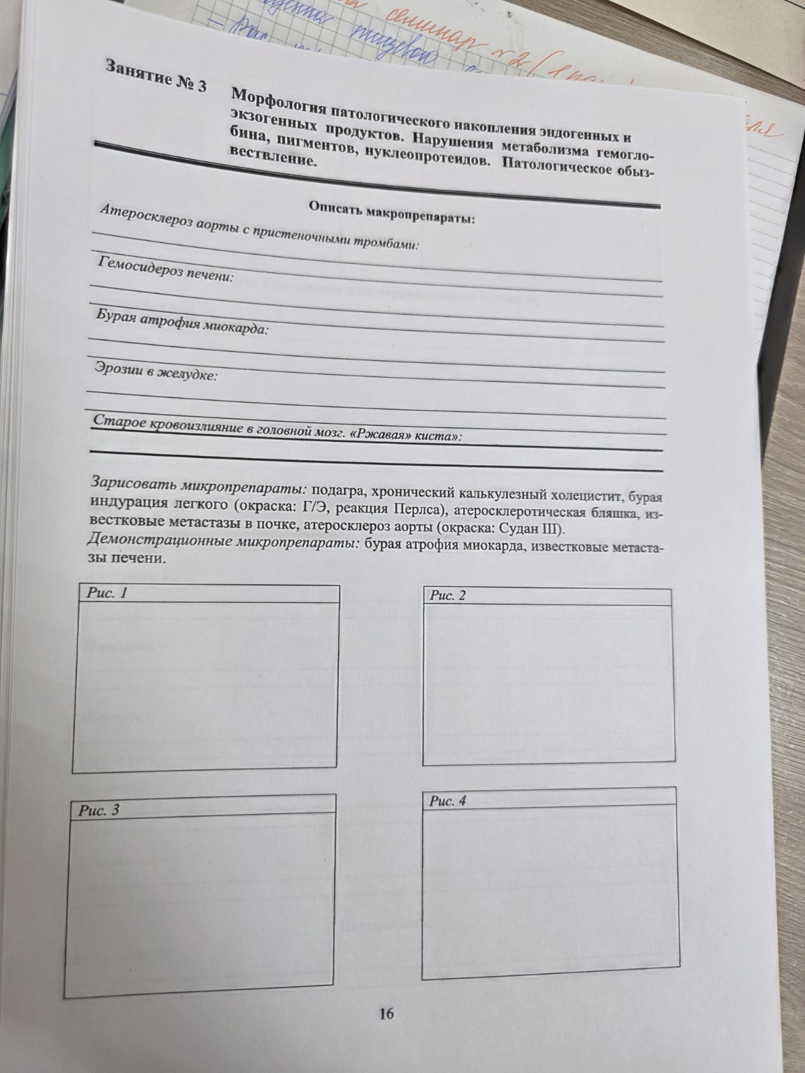 Изображение задачи: Подсчитай балы Реши задачу: Интерпретировать согла