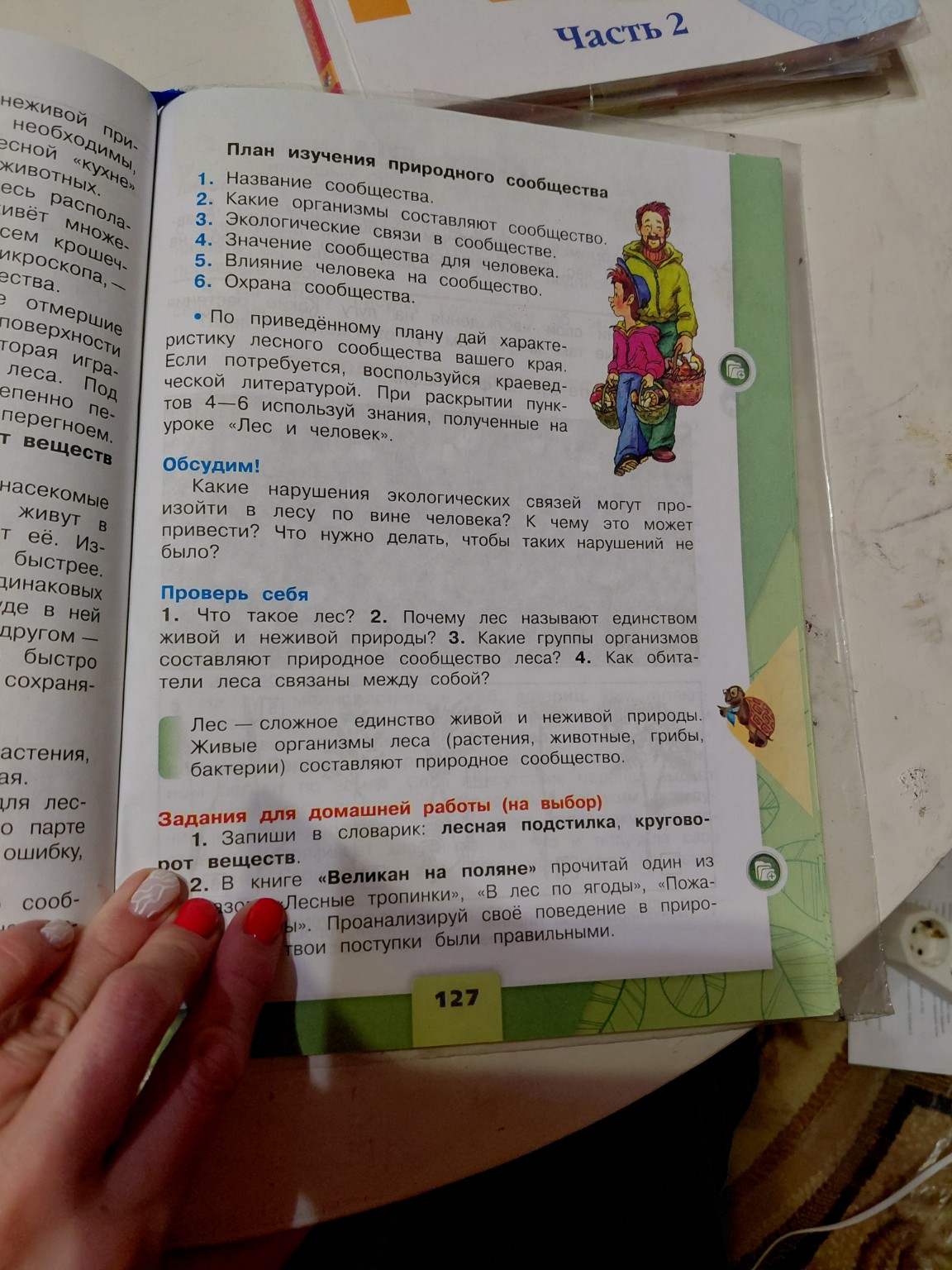 Изображение задачи: Составить краткий план леса