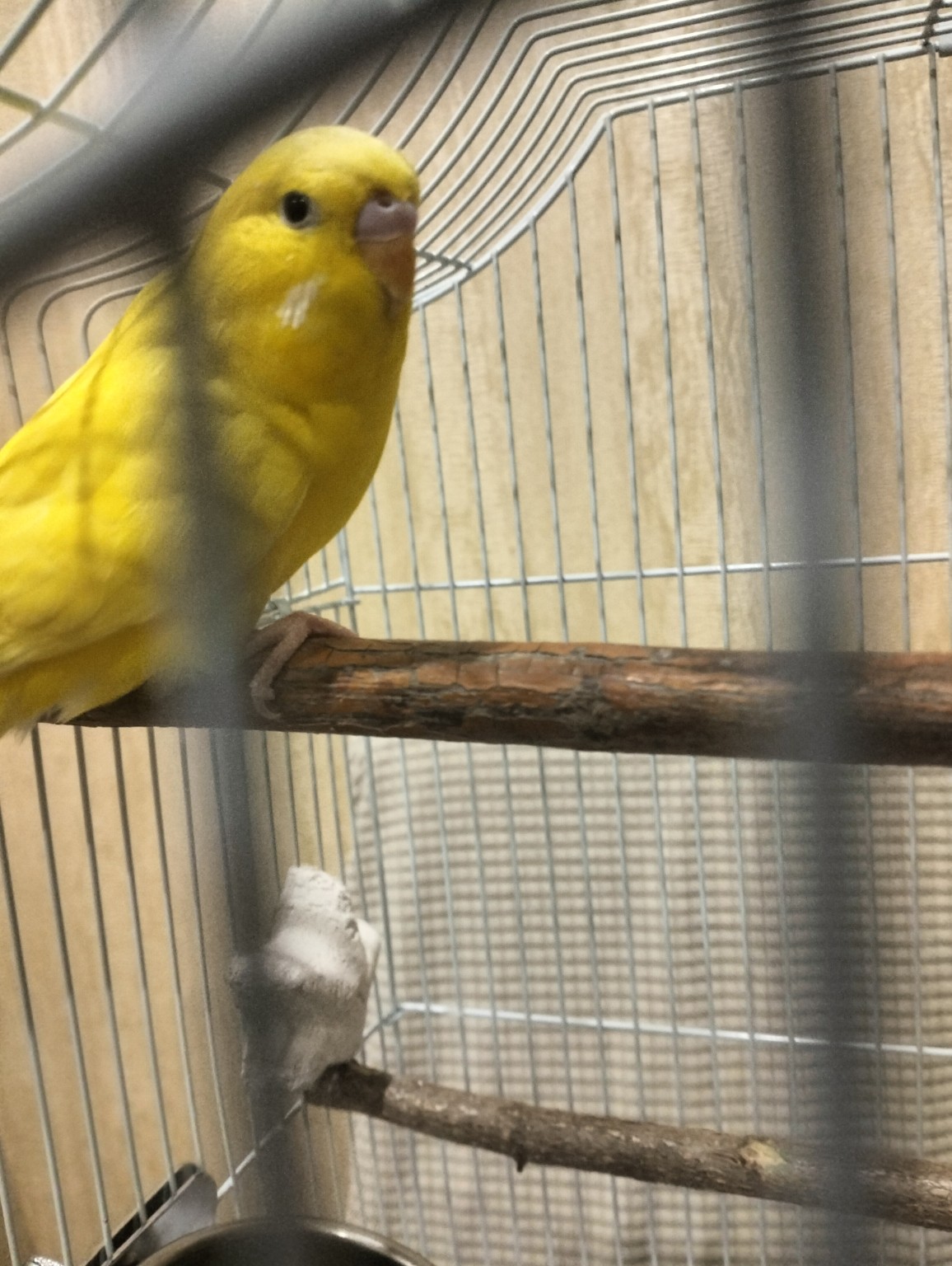 Изображение задачи: Реши задачу: это девочка?