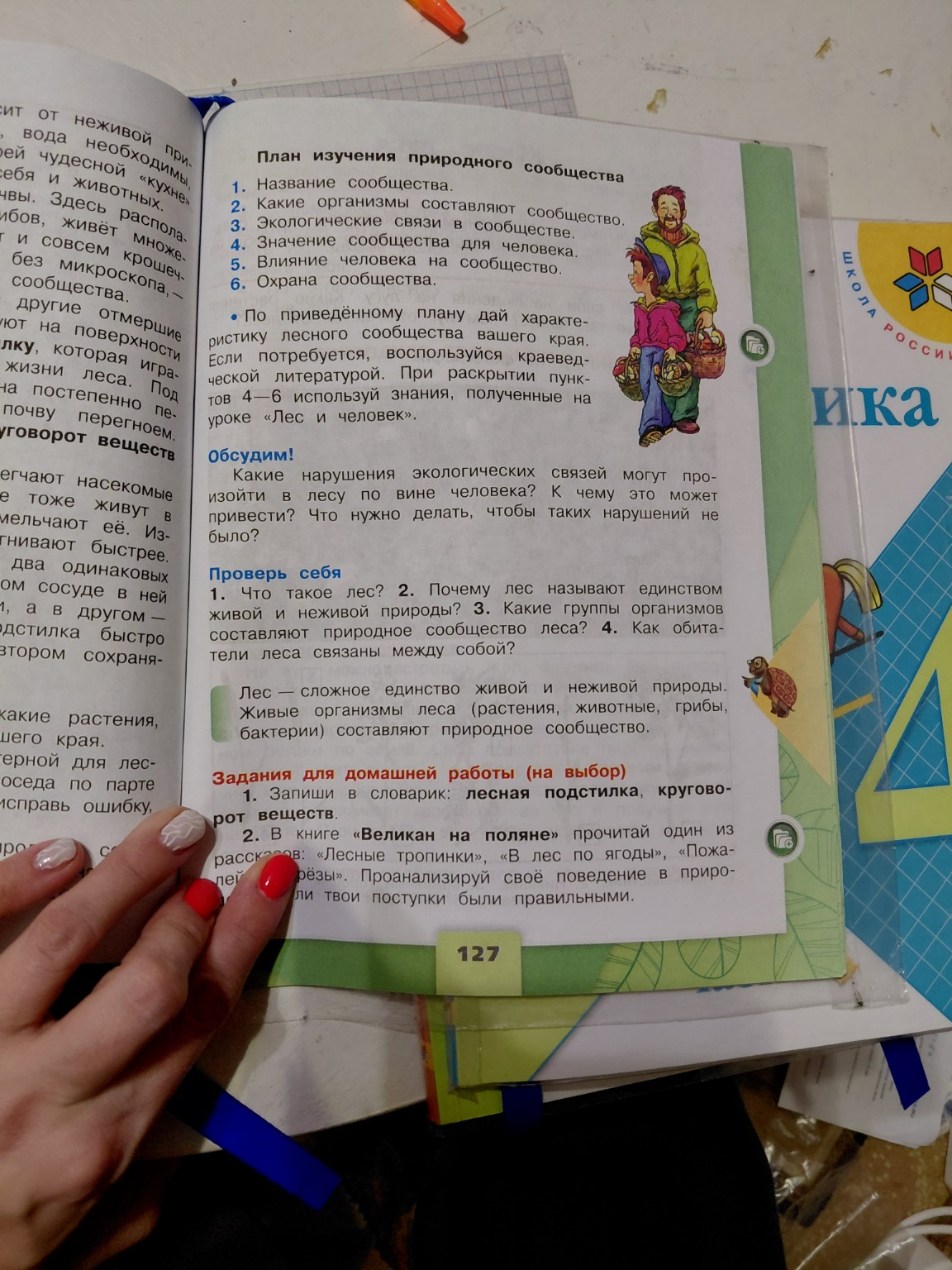 Изображение задачи: 11 Реши задачу: 5 ,6 ответить Реши задачу: Кратко