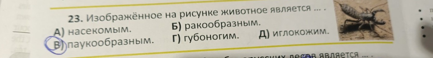 Изображение задачи: Сделай пересказ на английском языке 5-6 предложени