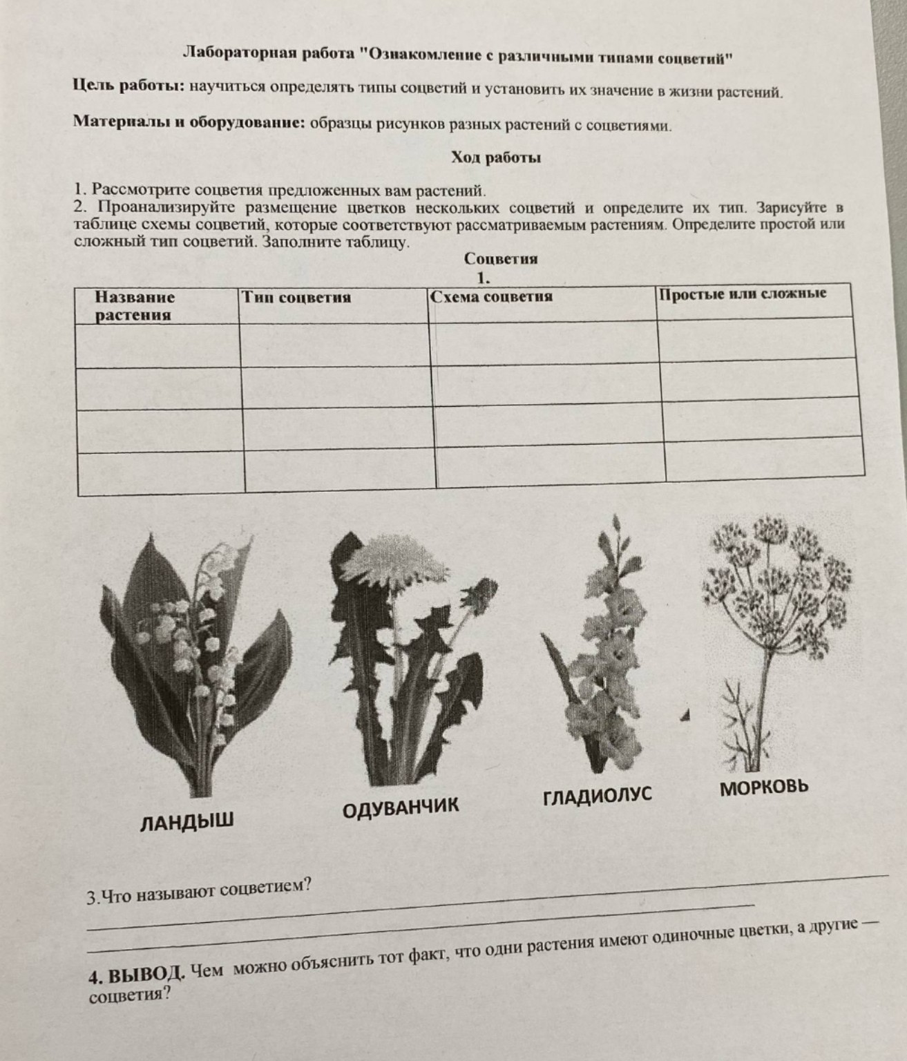 Изображение задачи: Реши лабораторную работу по биологии