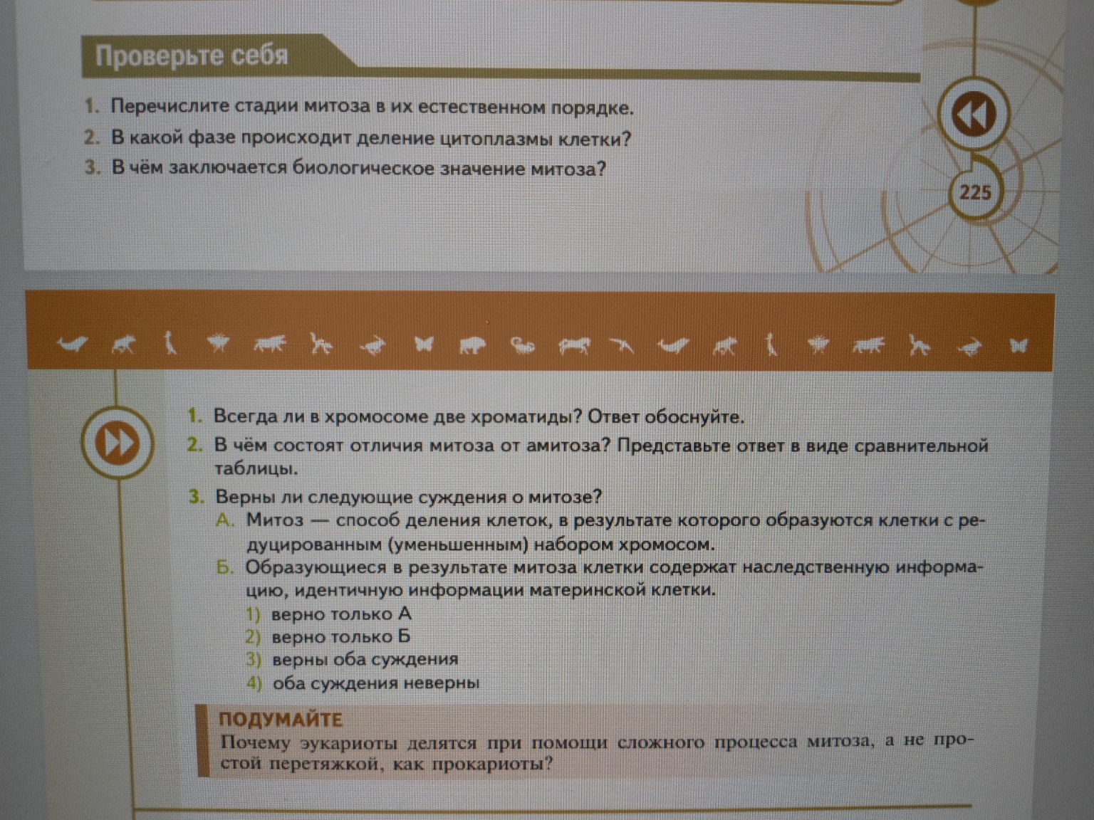 Изображение задачи: Нужно ответить на все вопросы на этой фотографии