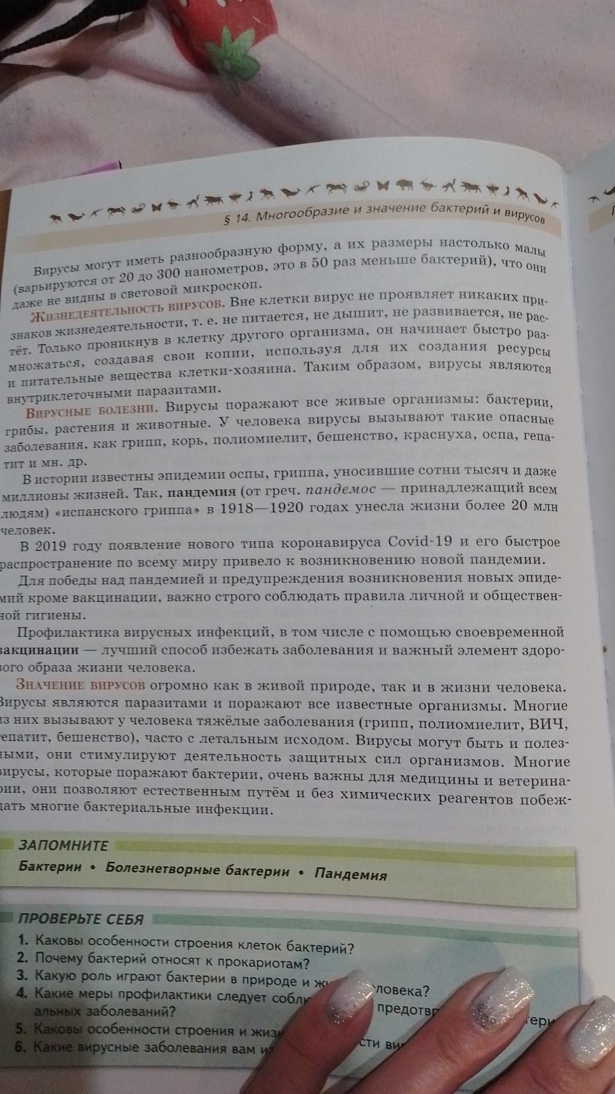 Изображение задачи: Что я узнала нового? Что было важного? Что интерес