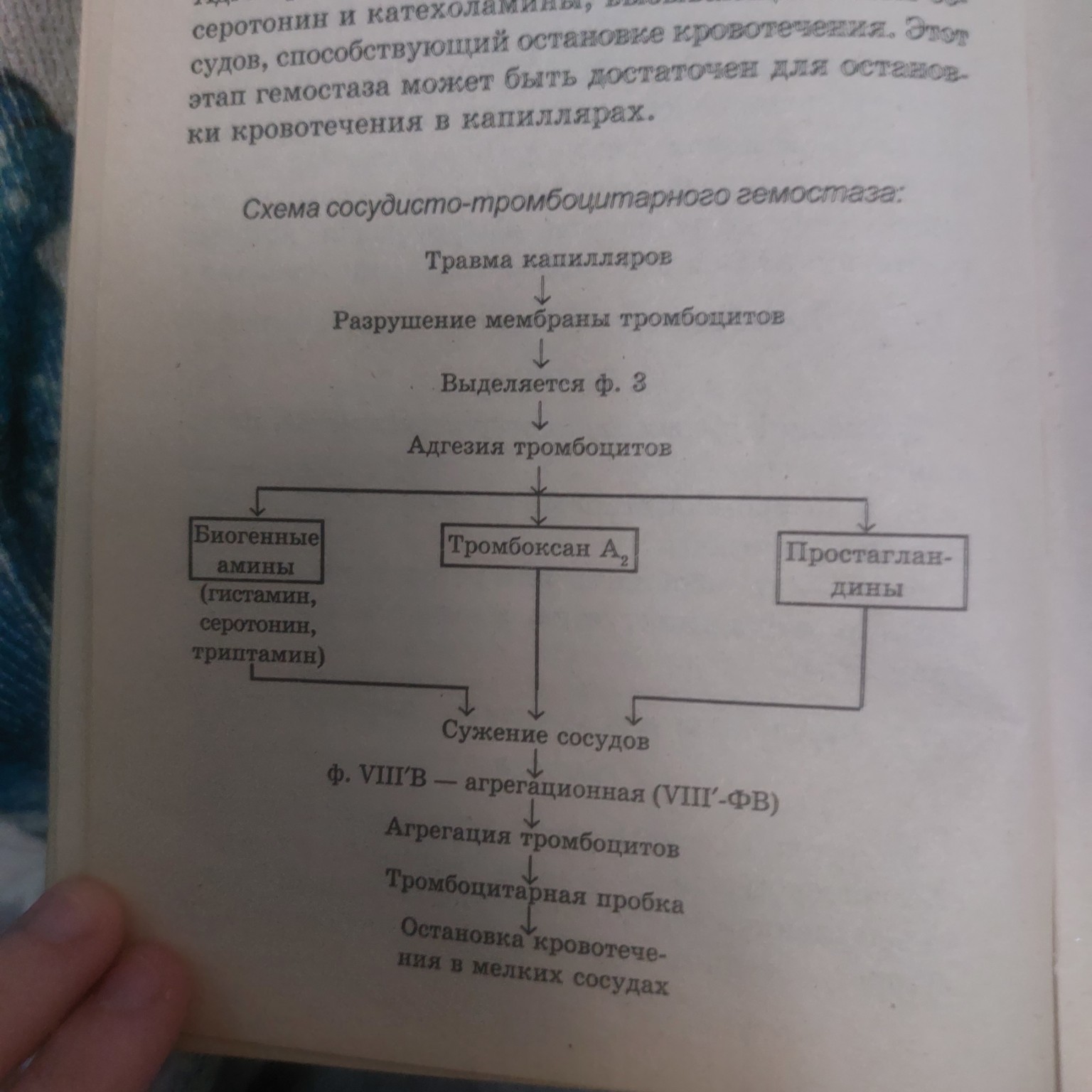 Изображение задачи: Откуда еще раз выделяется фактор 3 ? Из сосуда или